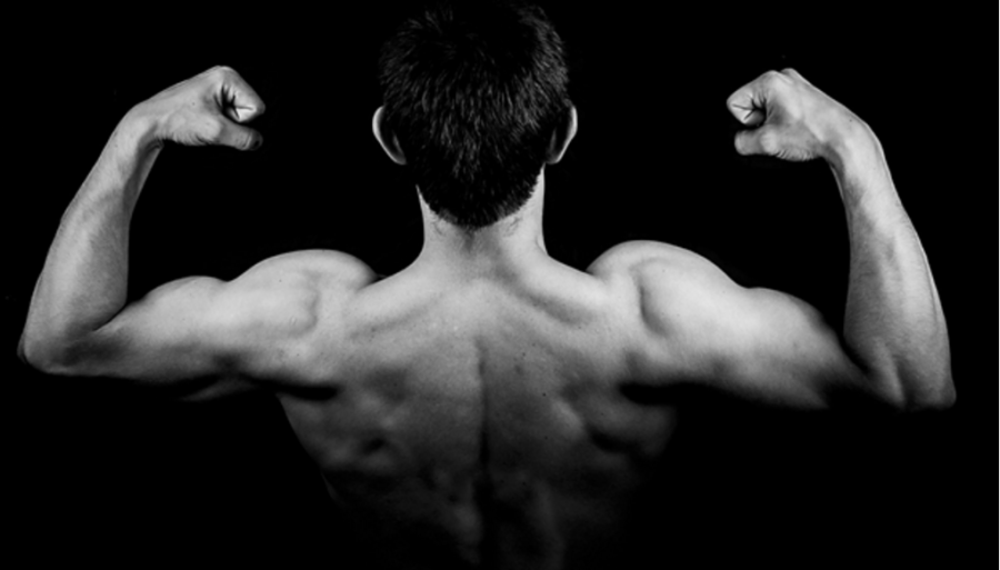 Breakfast of Champions: 5 Meals for Bulking Up